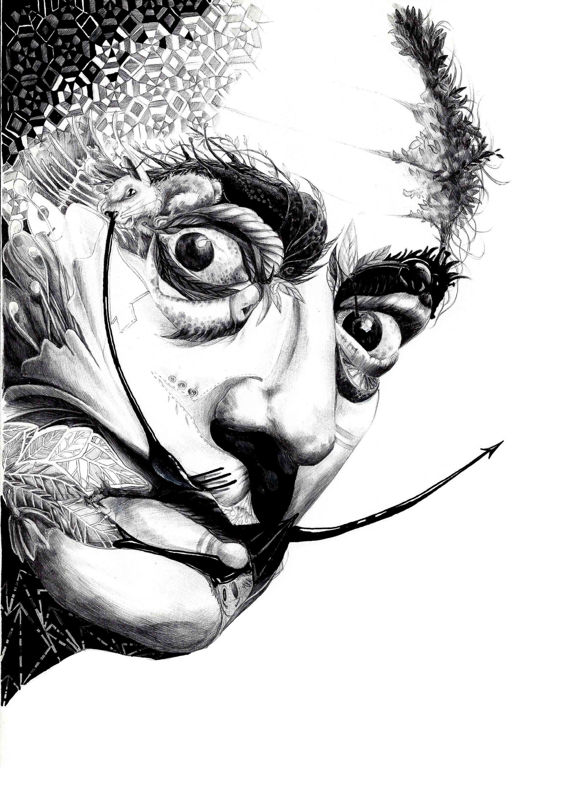 Salvador Dali Графика портрет